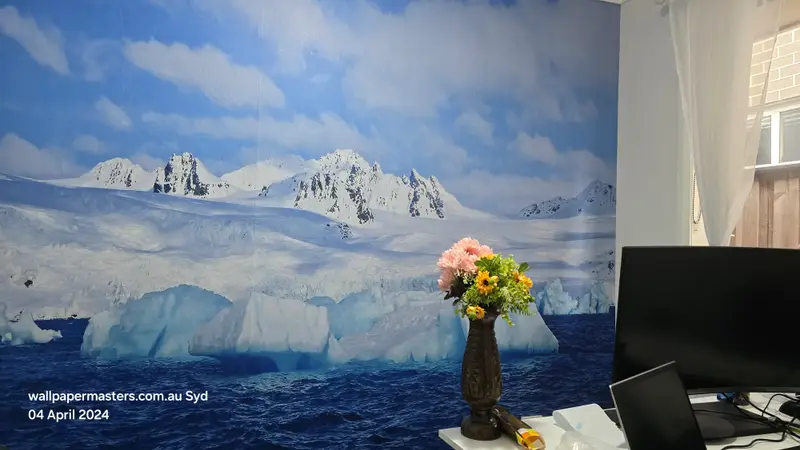 Custom mural Wallpaper Installation