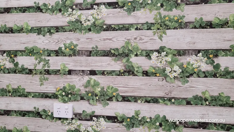 Kids Room Wallpaper Installation