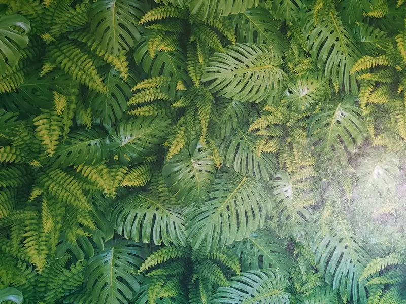 Kids Room Wallpaper Installation