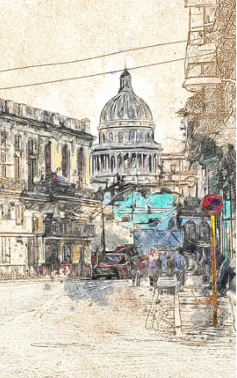 Custom mural Wallpaper Installation