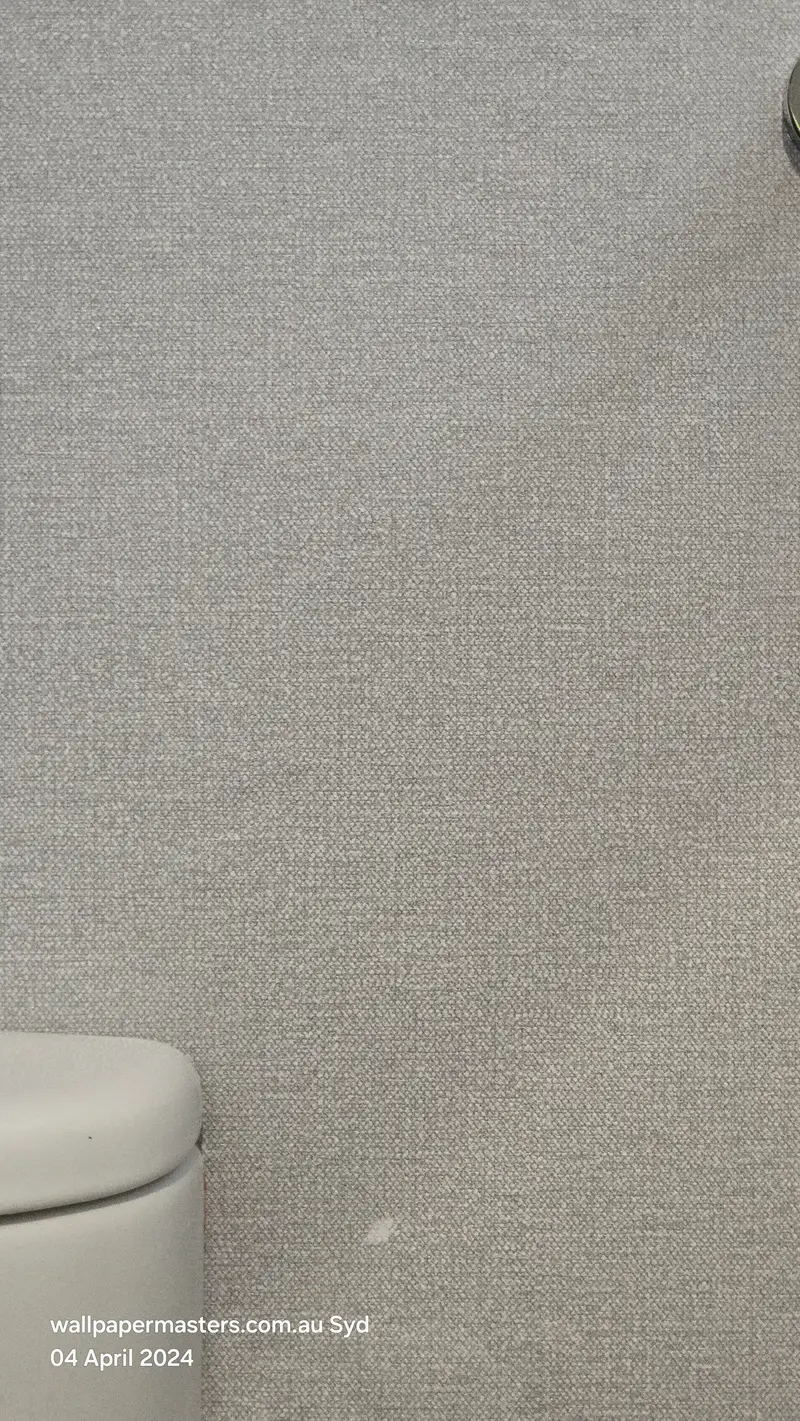 Toilet Wallpaper Installation